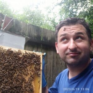 Pszczelarz z ramką miodu w pasiece, naturalne produkty pszczele, pszczoły na ramce.